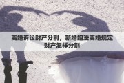 離婚訴訟財產(chǎn)分割，新婚姻法離婚規(guī)定財產(chǎn)怎樣分割