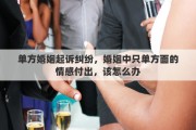 單方婚姻起訴糾紛，婚姻中只單方面的情感付出，該怎么辦