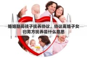 婚姻期間孩子撫養(yǎng)協(xié)議，協(xié)議離婚子女歸男方撫養(yǎng)是什么意思