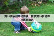 滿18周歲孩子撫養(yǎng)權(quán)，孩子滿18歲撫養(yǎng)權(quán)還有效嗎