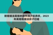 新婚姻法離婚的條件孩子撫養(yǎng)權(quán)，2023年離婚婚姻法孩子歸誰