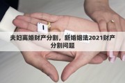 夫婦離婚財(cái)產(chǎn)分割，新婚姻法2021財(cái)產(chǎn)分割問題