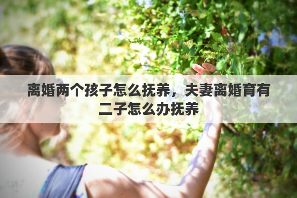 離婚兩個孩子怎么撫養(yǎng)，夫妻離婚育有二子怎么辦撫養(yǎng)