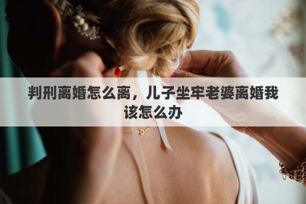 判刑離婚怎么離，兒子坐牢老婆離婚我該怎么辦