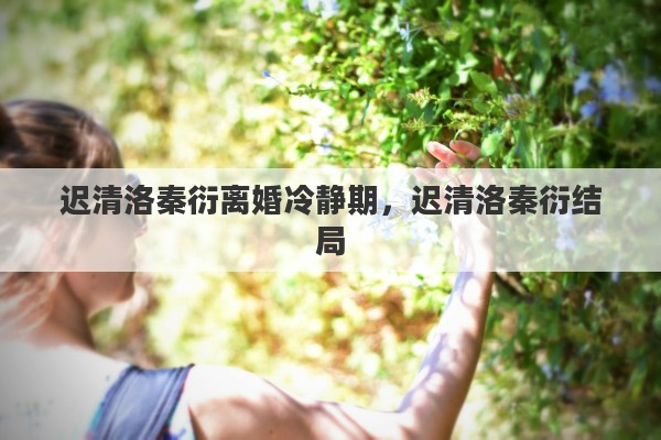 遲清洛秦衍離婚冷靜期，遲清洛秦衍結(jié)局