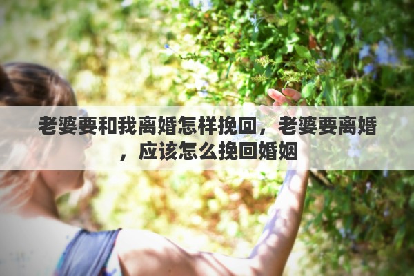 老婆要和我離婚怎樣挽回，老婆要離婚，應(yīng)該怎么挽回婚姻